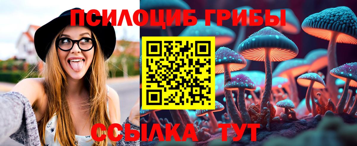 Галлюциногенные грибы Magic Shrooms  Галлюциногенные грибы Psilocybe  Вход с VPN  Арзамас 